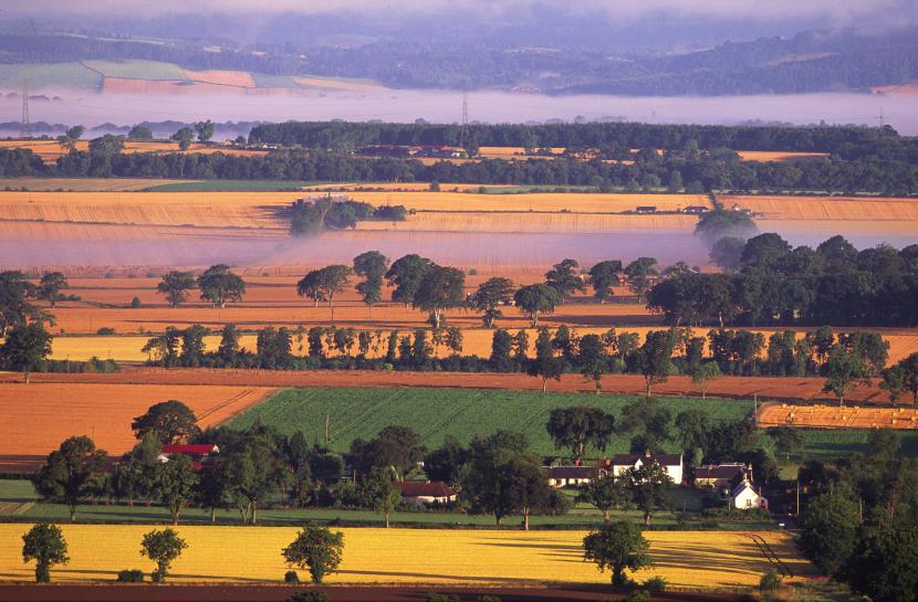 Early morning autumnal light on arable fields Strathmore, Perthshire.