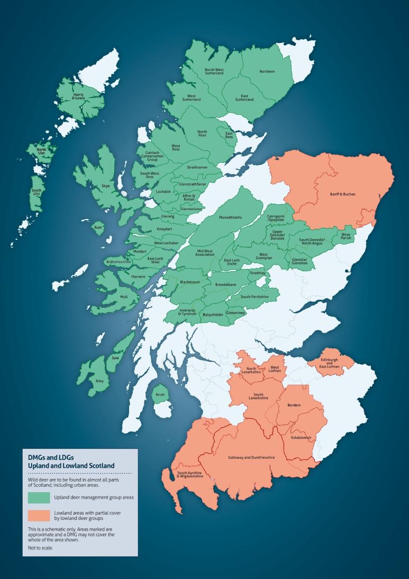 Wild deer are to be found in almost all parts of Scotland, including urban areas. 