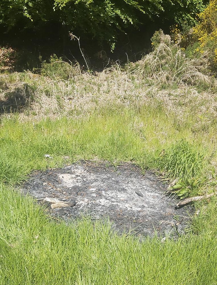Fire scorch marks in a grassy area