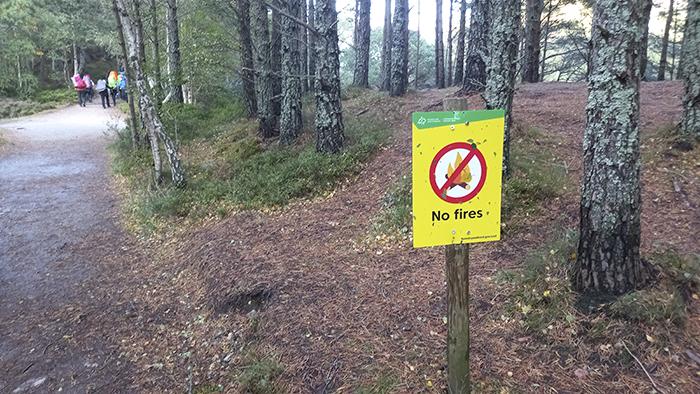 No fires sign in a wooded area