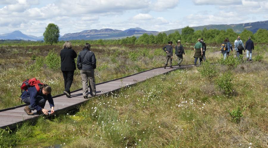 Sharing Good Practice training course at Flanders Moss NNR a lowland raised bog, Argyll and Stirling Area. ©Lorne Gill/SNH. For information on reproduction rights contact the Scottish Natural Heritage Image Library on Tel. 01738 444177 or www.nature.scot Thumbnail