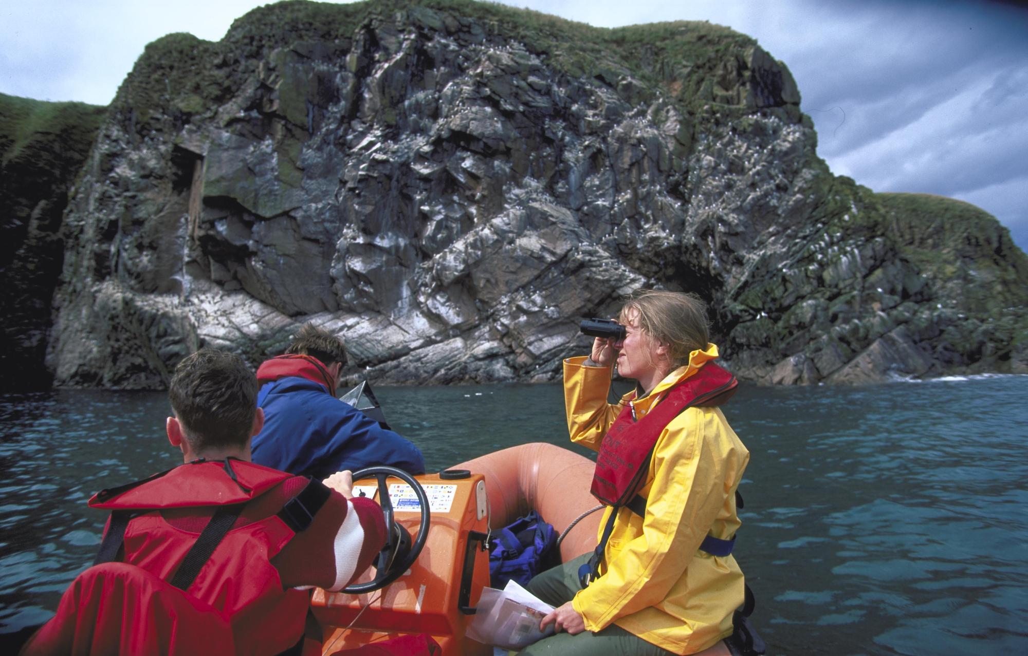 Bird watching from boat, Bullers of Buchan, Grampian.