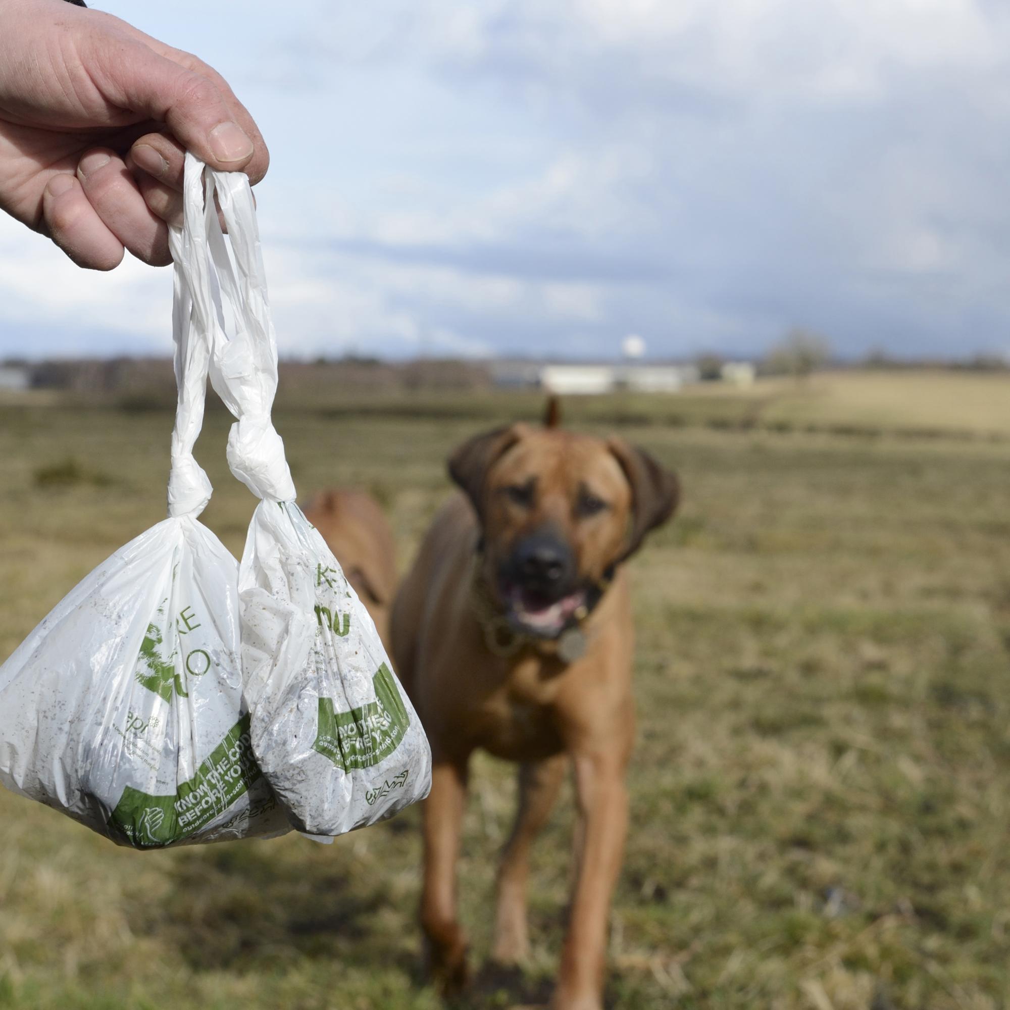 Dog walker with jobbie bags