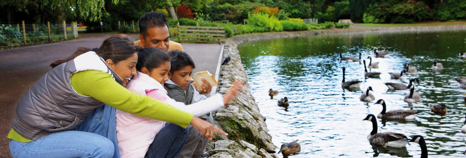 Family feeding ducks in park