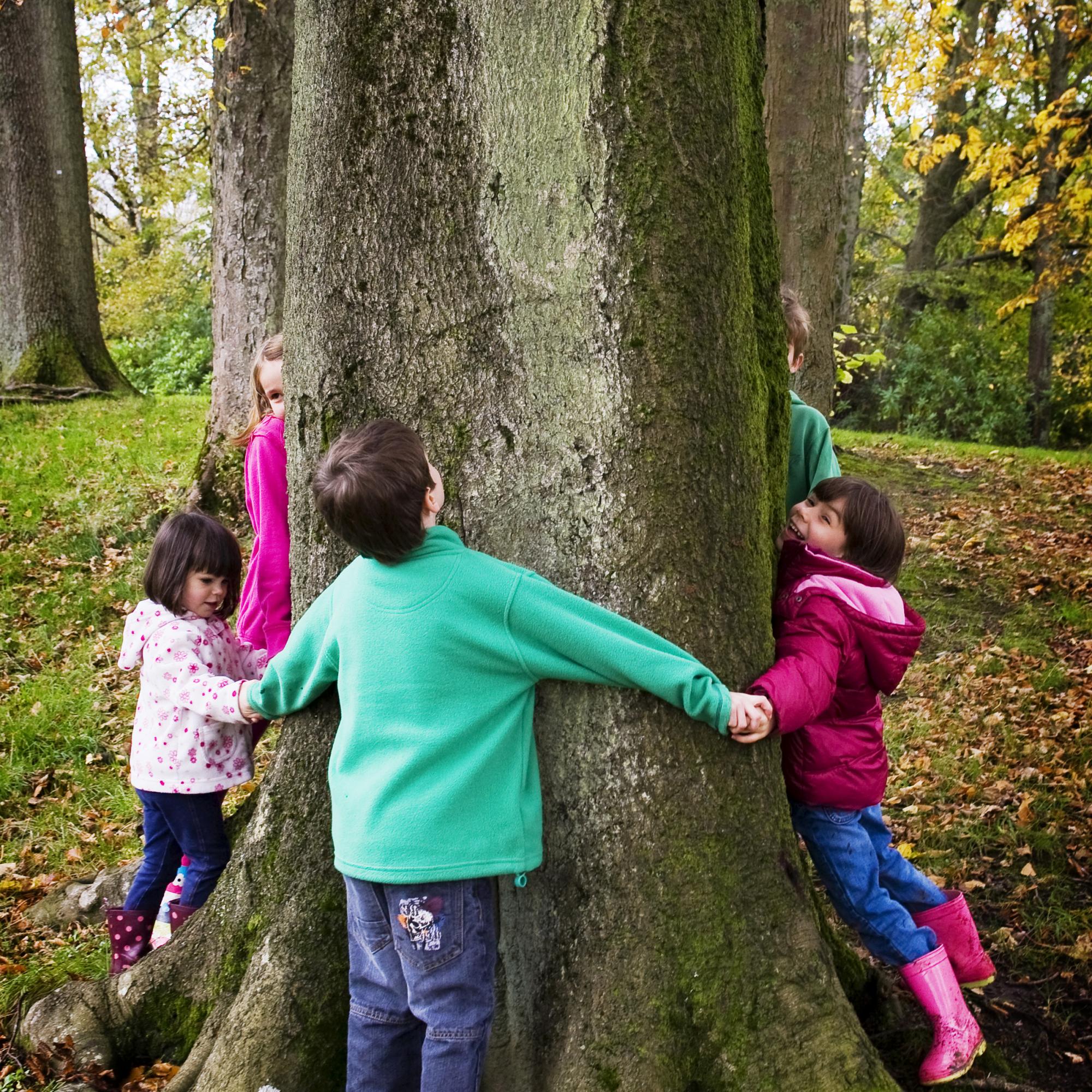 Kids hugging a tree