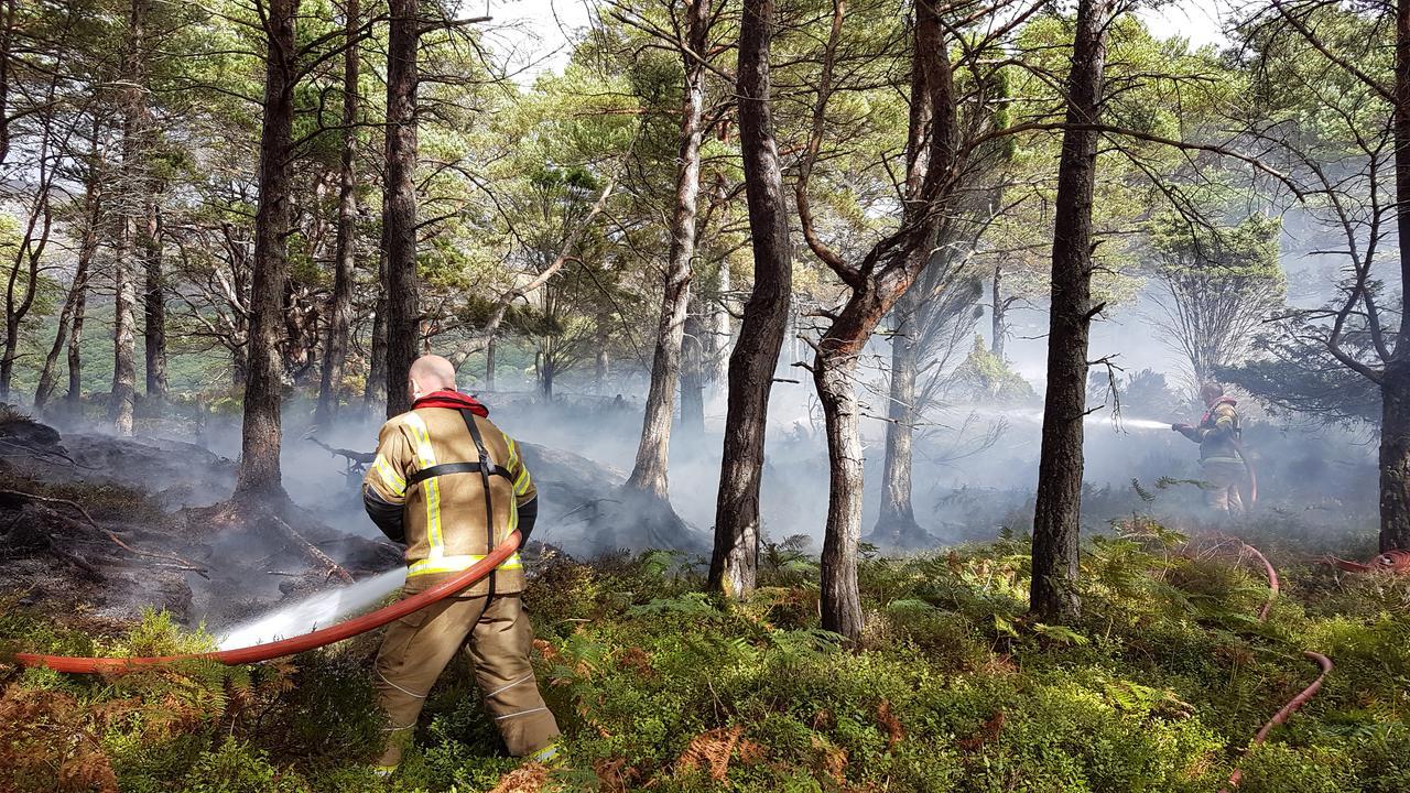 News - Help prevent wildfires on our nature reserves
