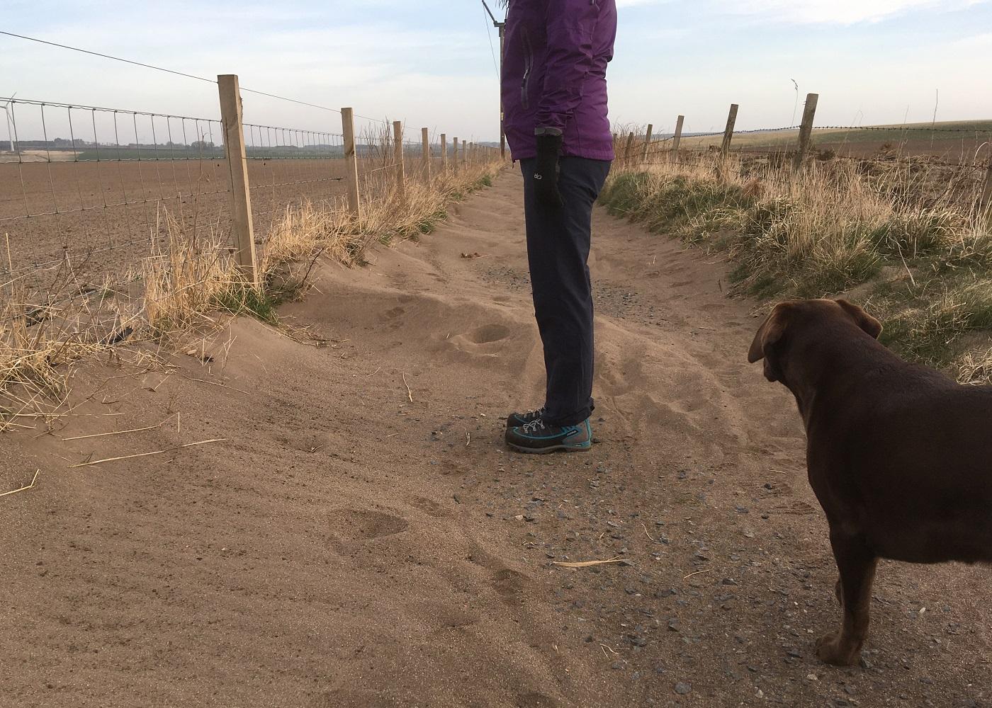 Dog walker and dog on path covered in sand surrounded by farmland.