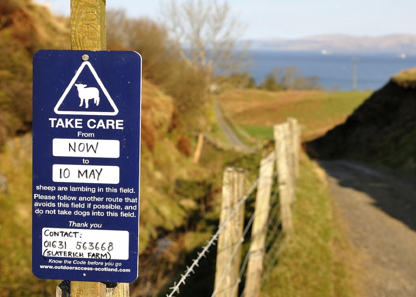 Blue sign on fence next to path advising of dates sheep are lambing in the field. 