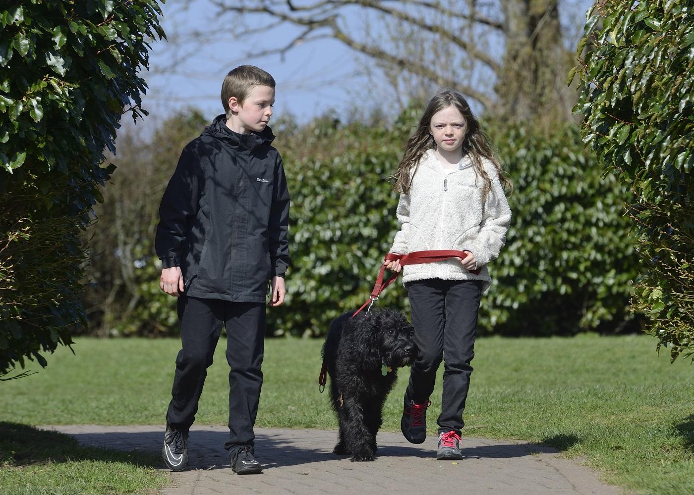 Two children walking a dog on a path.
