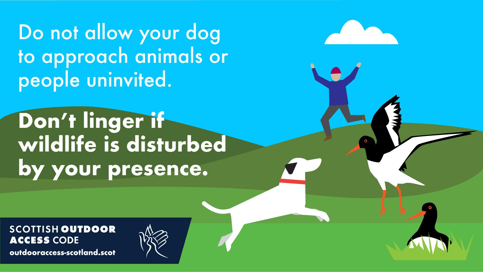 Don't allow your dog to approach animals or people uninvited. Don't linger if wildlife is disturbed by your presence.