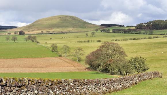 Birrenswark hill, composed of Lava flows near Ecclefechan, Dumfries and Galloway Area. ©Lorne Gill/SNH. For information on reproduction rights contact the Scottish Natural Heritage Image Library on Tel. 01738 444177 or www.nature.scot Thumbnail