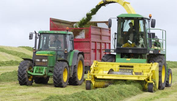 Silage making, Burray, Orkney, Northern Isles Area. ©Lorne Gill/SNH. For information on reproduction rights contact the Scottish Natural Heritage Image Library on Tel. 01738 444177 or www.nature.scot Thumbnail