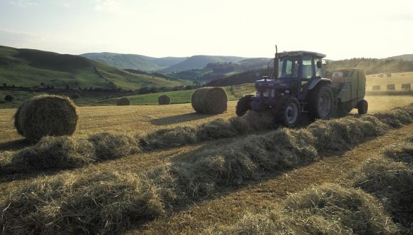 Haymaking, Auchenbainzie Farm, Thornhill. ©Glyn Satterley/SNH. For information on reproduction rights contact the Scottish Natural Heritage Image Library on Tel. 01738 444177 or www.nature.scot Thumbnail