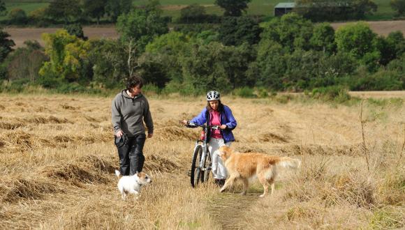 Multi user access, shared use at the Brahan Estate near Conon Bridge. ©Lorne Gill/SNH. For information on reproduction rights contact the Scottish Natural Heritage Image Library on Tel. 01738 444177 or www.nature.scot Thumbnail