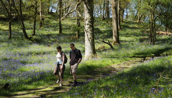 Man and a woman walking on the woodland trail at Inchcailloch NNR, Loch Lomond. ©Lorne Gill/SNH. For information on reproduction rights contact the Scottish Natural Heritage Image Library on Tel. 01738 444177 or www.nature.scot Thumbnail
